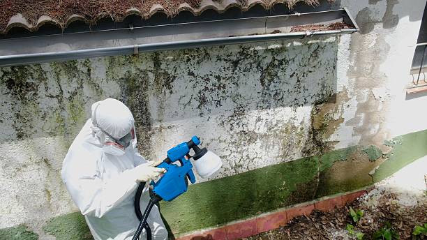 Top rated local Attic Mold Remediation specialists in Garwood, NJ